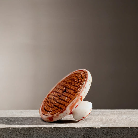 Pumice Stone for Feet